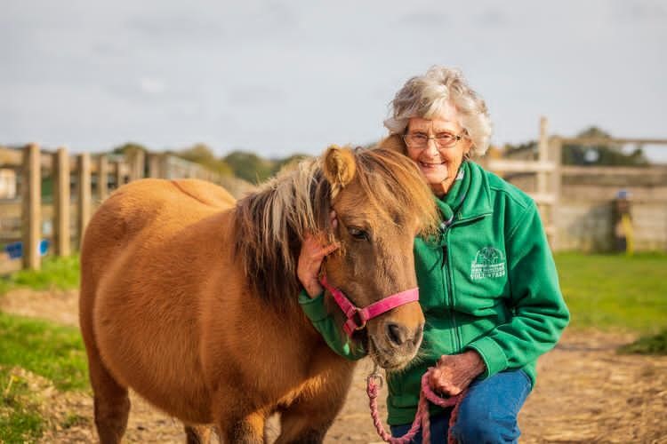 Volunteer with Molly the Shetland pony